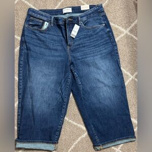 Lane Bryant Women's Blue Denim Jeans